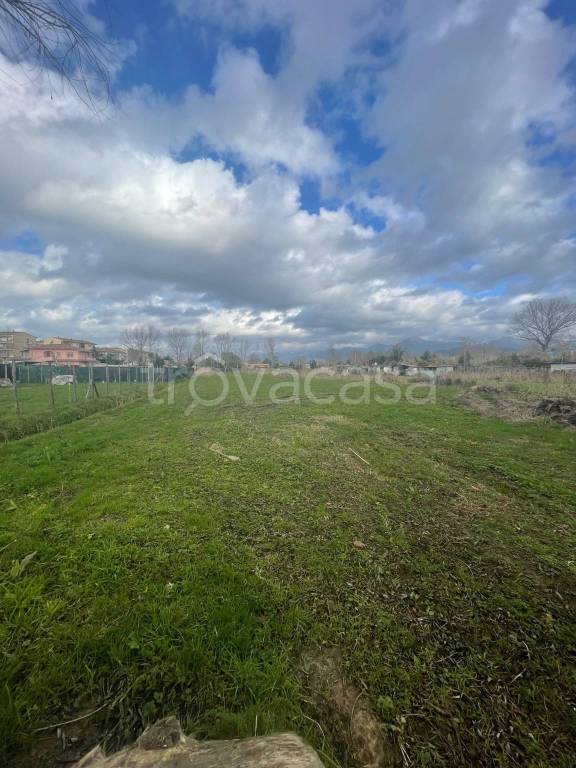 Terreno Agricolo in vendita a Viareggio via Enrico Paladini, 45