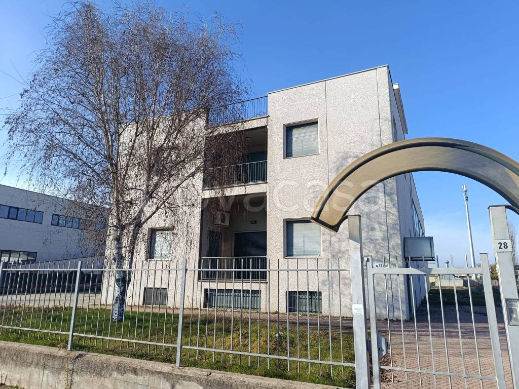 immagine annuncio 8 di 14