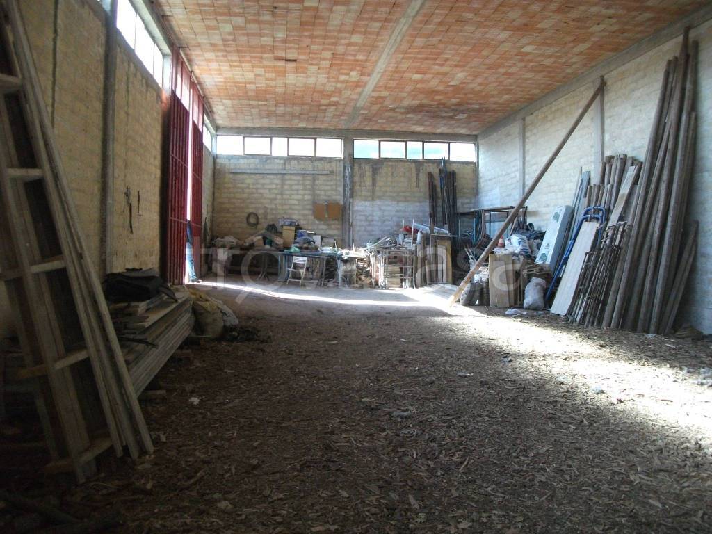 immagine annuncio 2 di 7