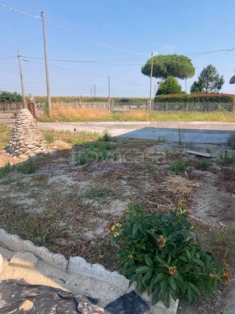 immagine annuncio 10 di 14