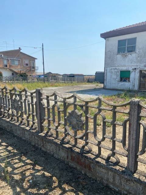 immagine annuncio 12 di 14