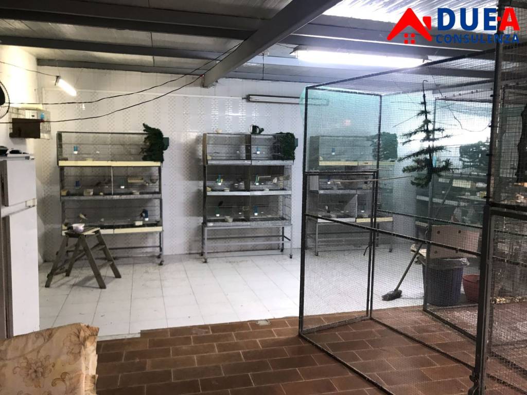 immagine annuncio 10 di 13