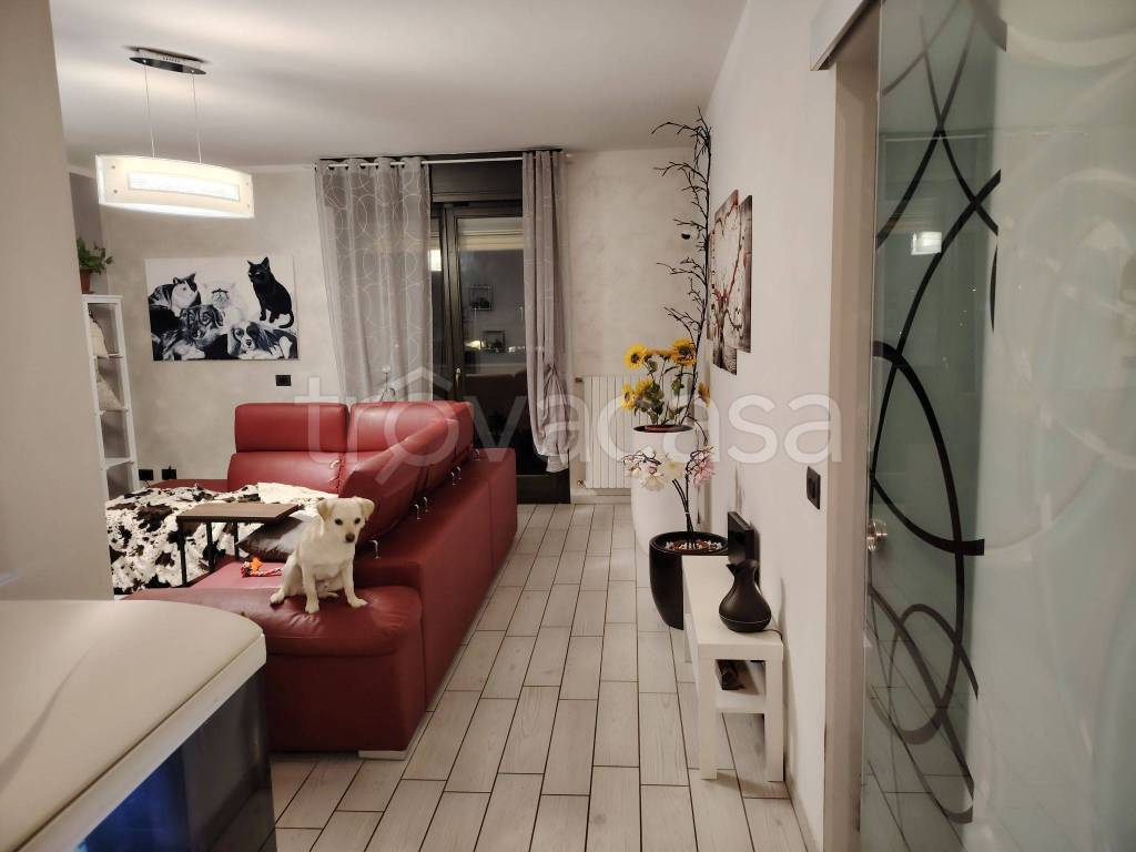 Appartamento in in vendita da privato a Mirandola via Giovanni Caboto, 7