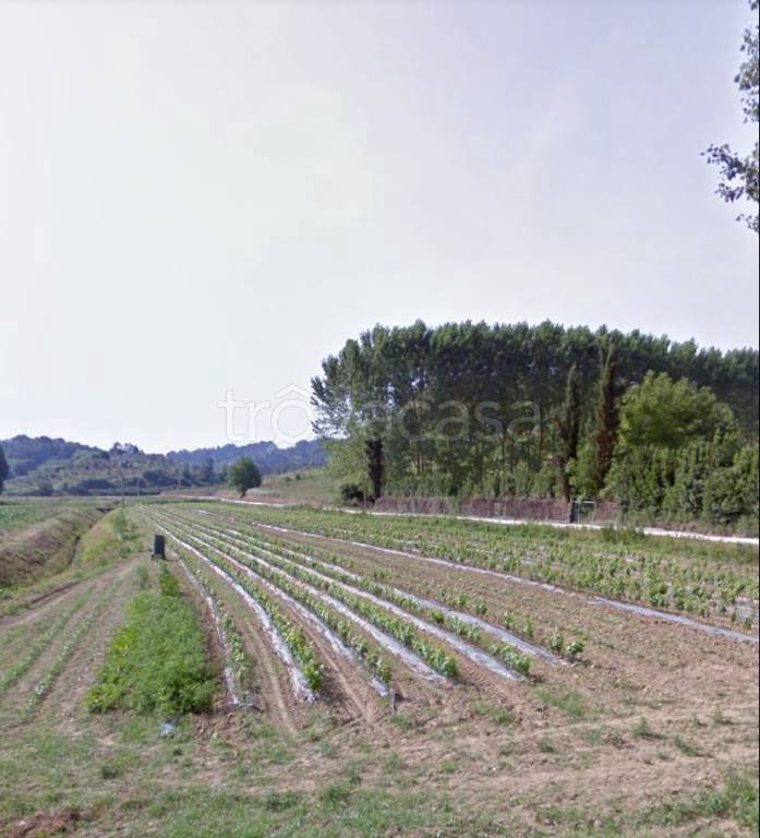 Terreno Agricolo in vendita a Casciana Terme Lari via di Pisinacchio
