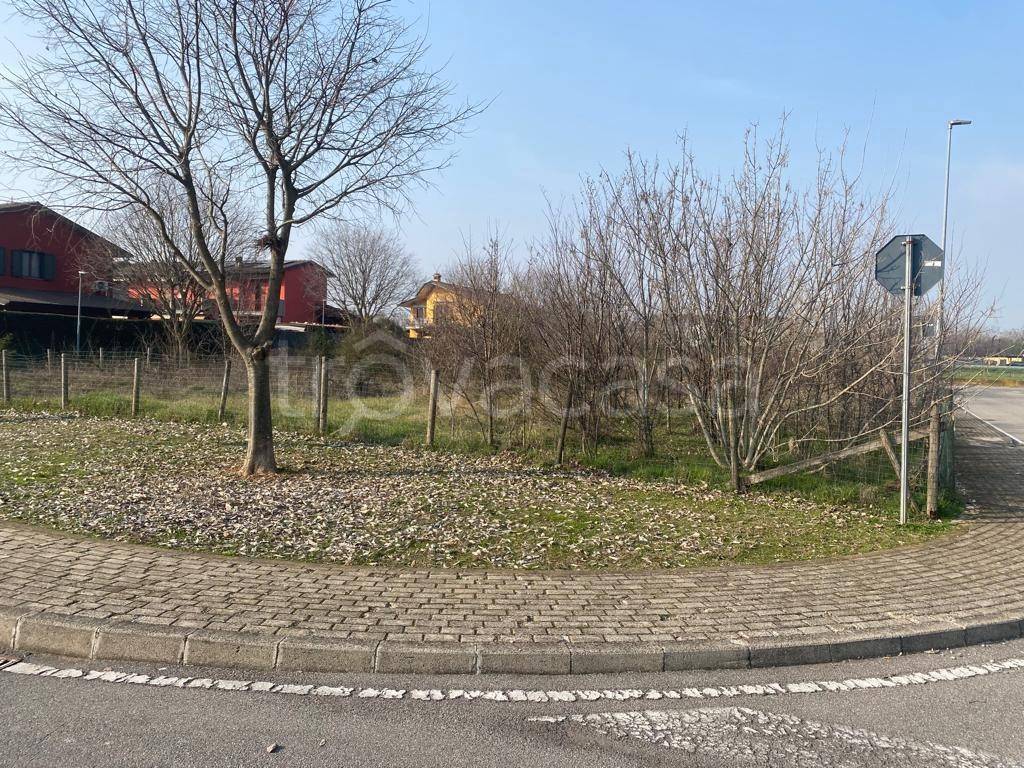 immagine annuncio 9 di 14