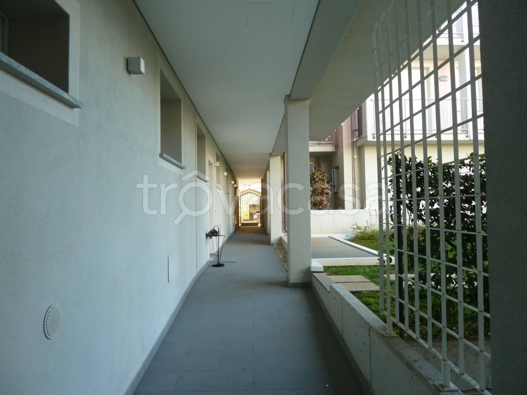 immagine annuncio 2 di 12