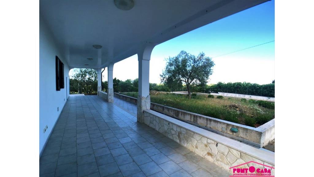 immagine annuncio 4 di 7