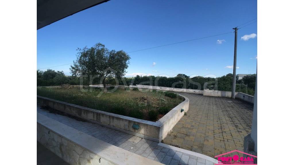 immagine annuncio 5 di 7