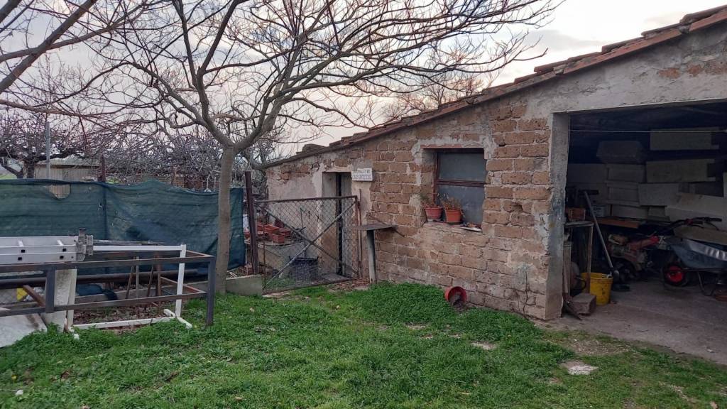 immagine annuncio 2 di 9