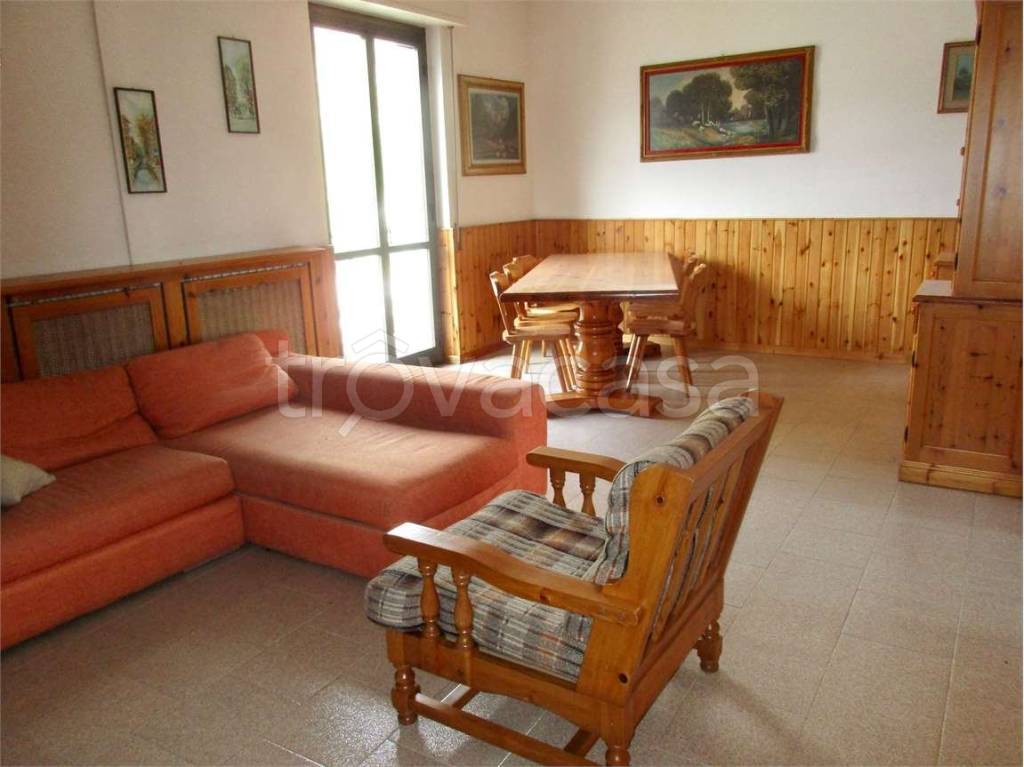 immagine annuncio 1 di 14