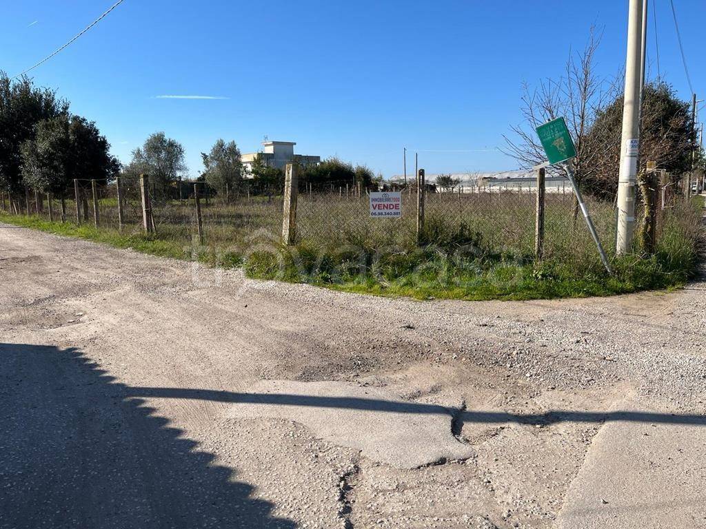 immagine annuncio 9 di 10