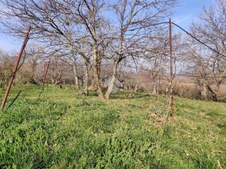 Terreno agricolo in vendita a fabrica di roma localita' campaccio