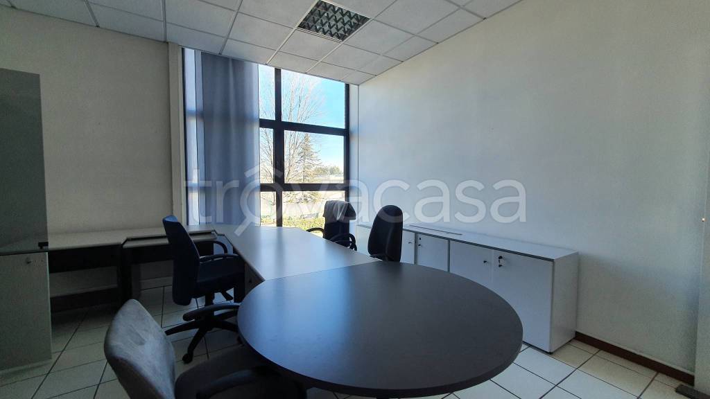 immagine annuncio 4 di 14