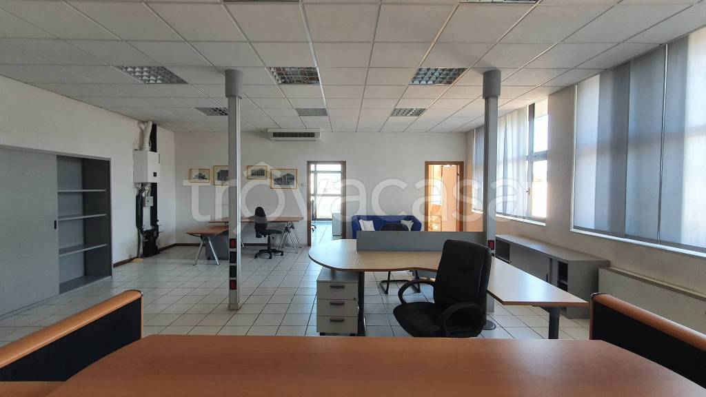 immagine annuncio 11 di 14