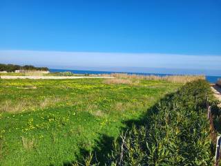 Terreno agricolo in affitto a polignano a mare via maggiore pietro toselli