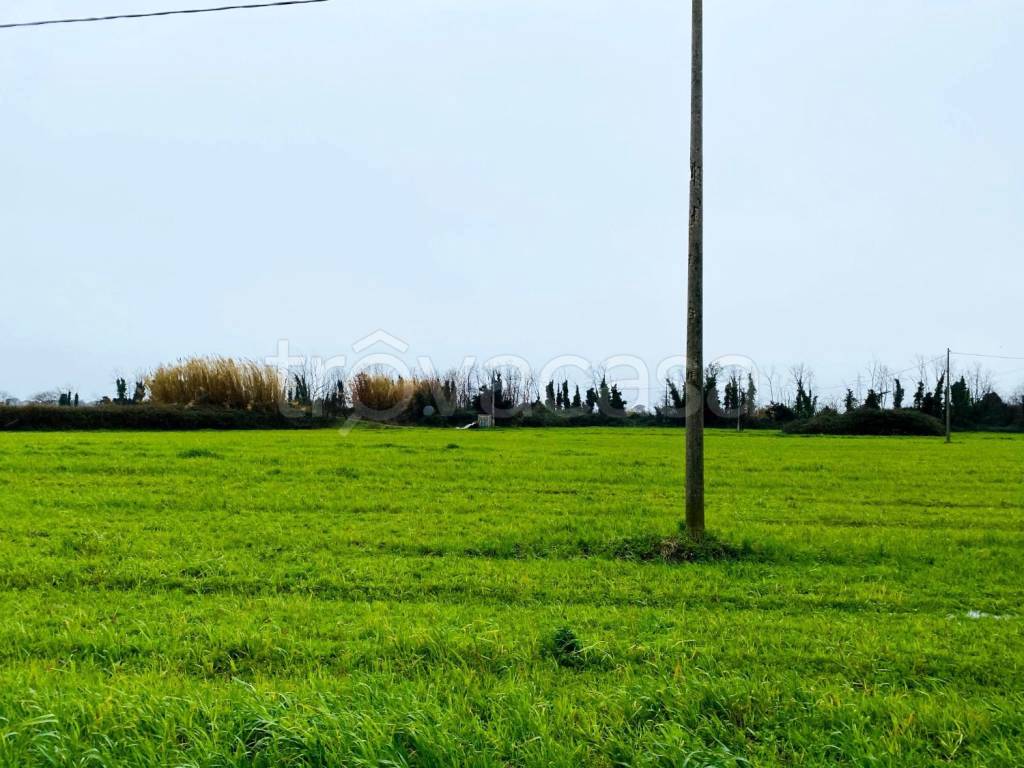 Terreno Agricolo in vendita a Giugliano in Campania via Ripuaria