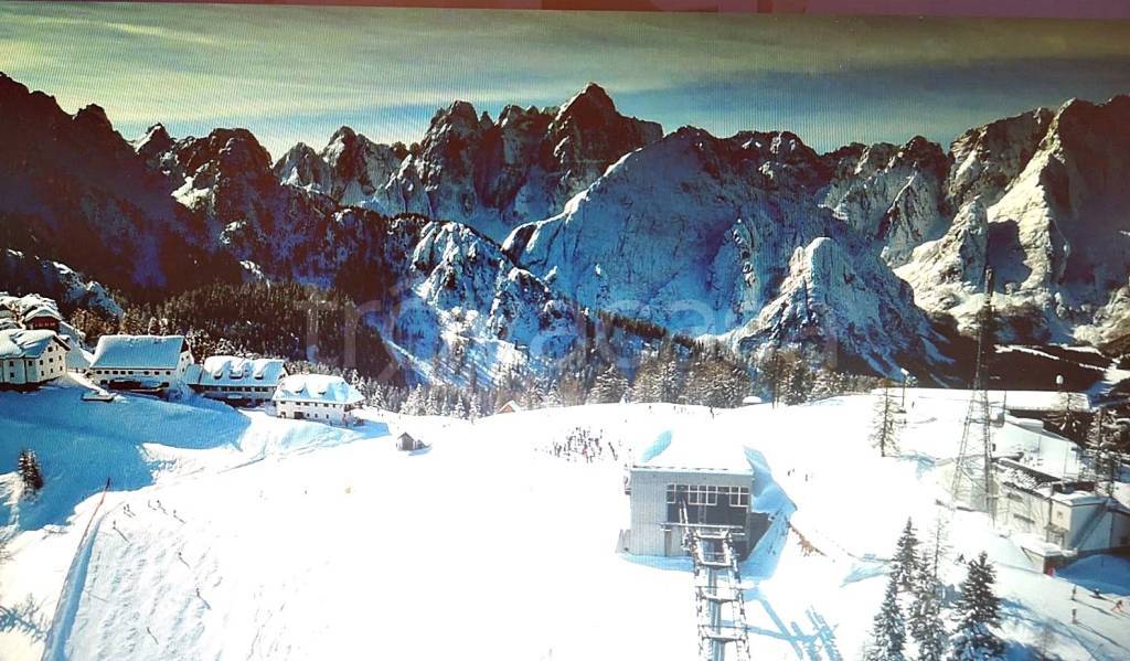 immagine annuncio 1 di 6