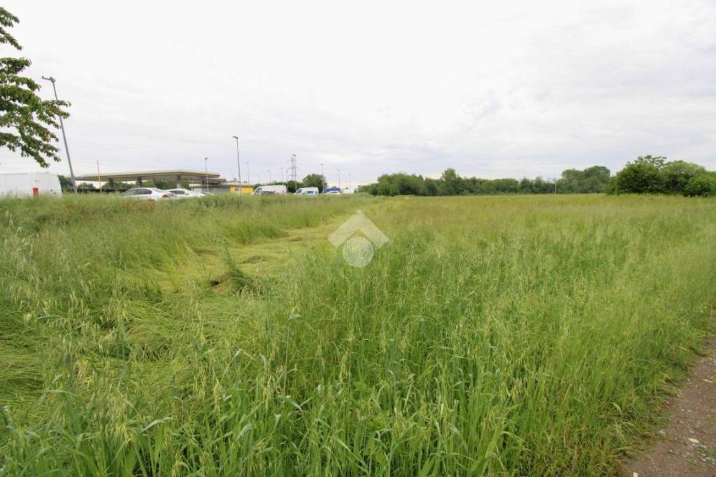 immagine annuncio 2 di 14