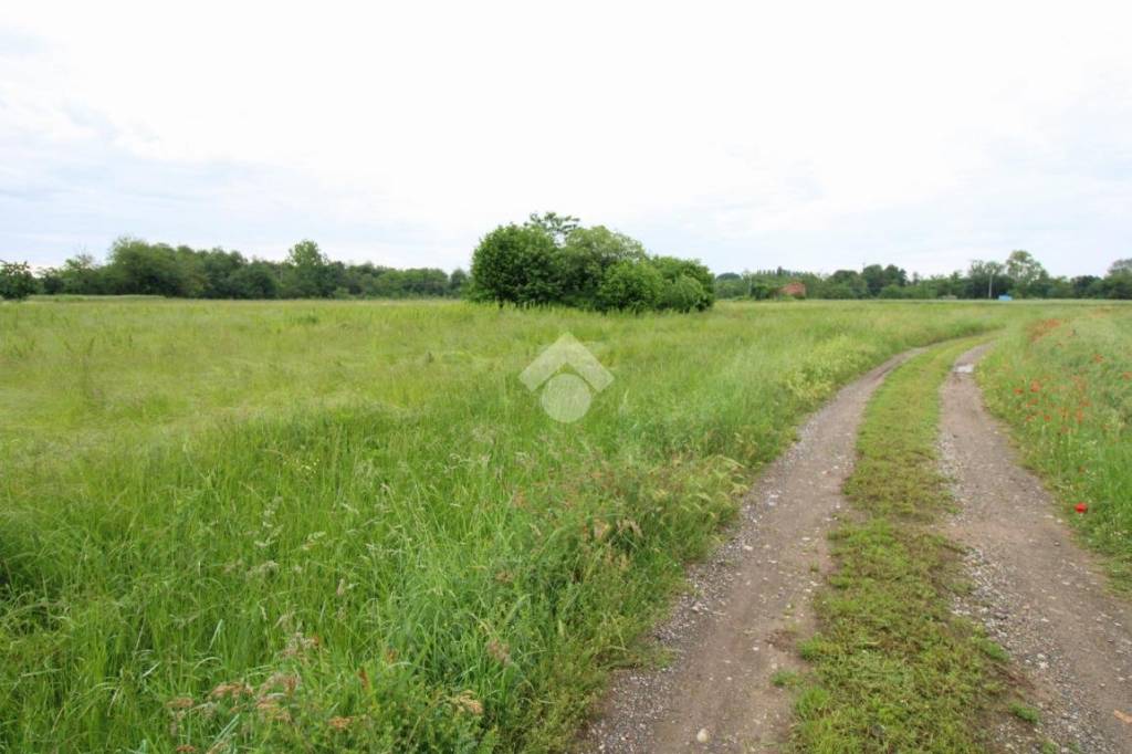 immagine annuncio 3 di 14