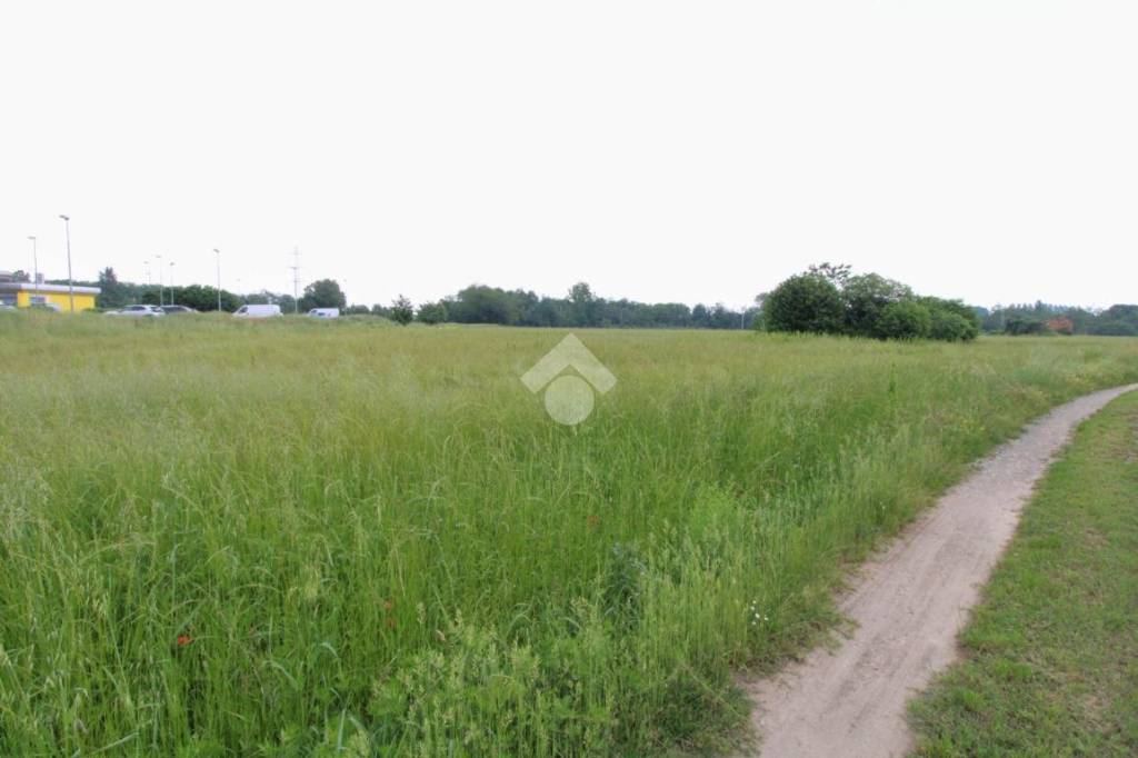 immagine annuncio 8 di 14