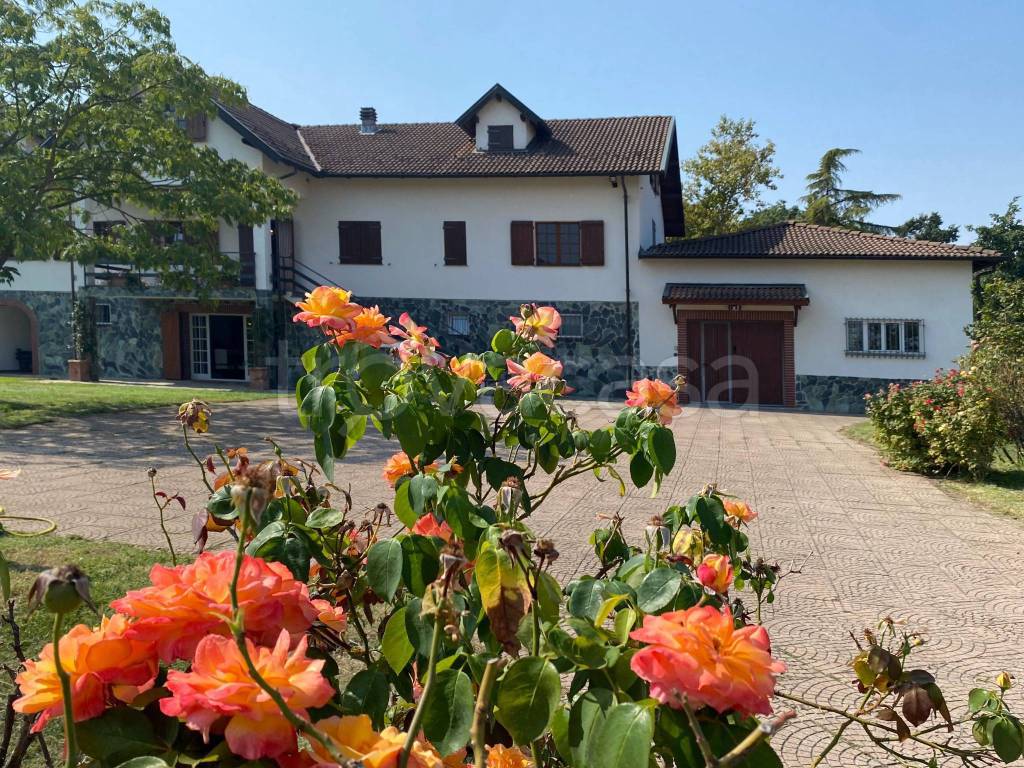 Villa Bifamiliare in affitto a Cassano Spinola via Selva