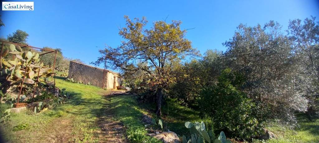 Terreno Residenziale in vendita a Monreale contrada Monte Caputo