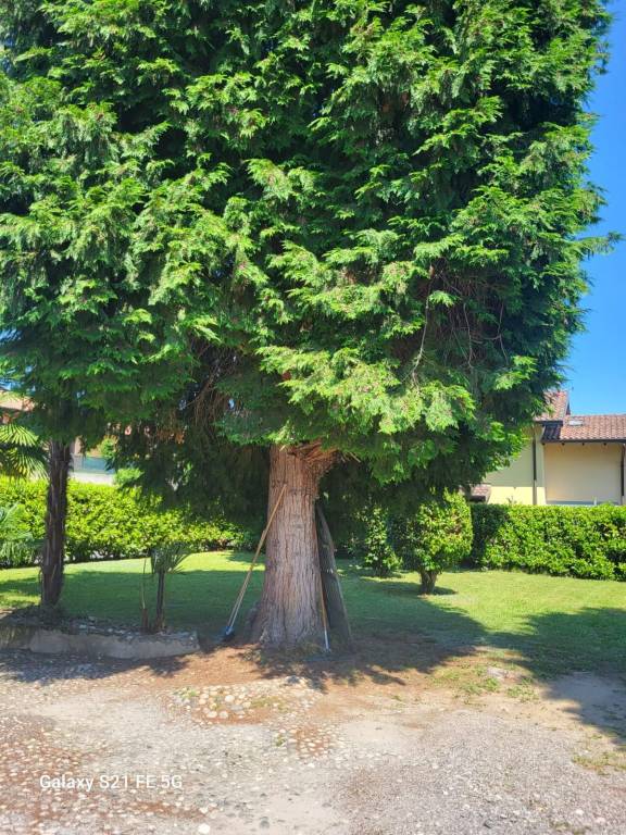immagine annuncio 4 di 14
