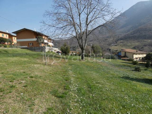 immagine annuncio 5 di 9