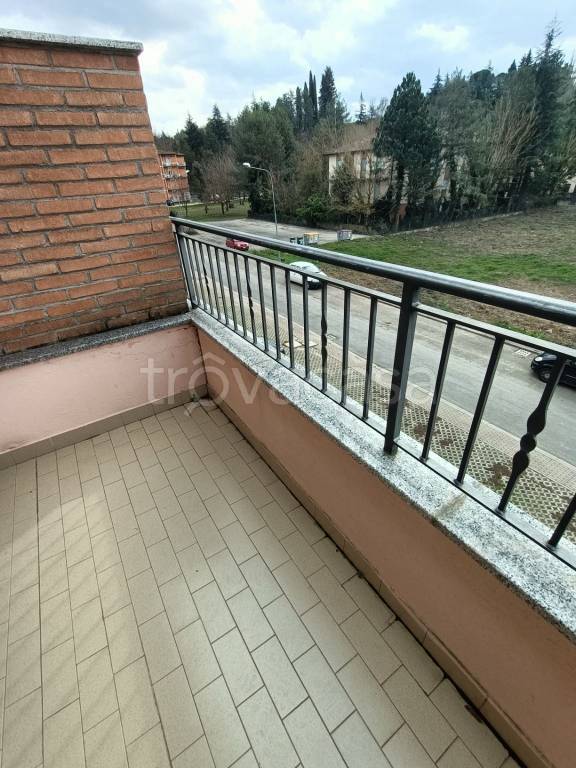 immagine annuncio 4 di 14