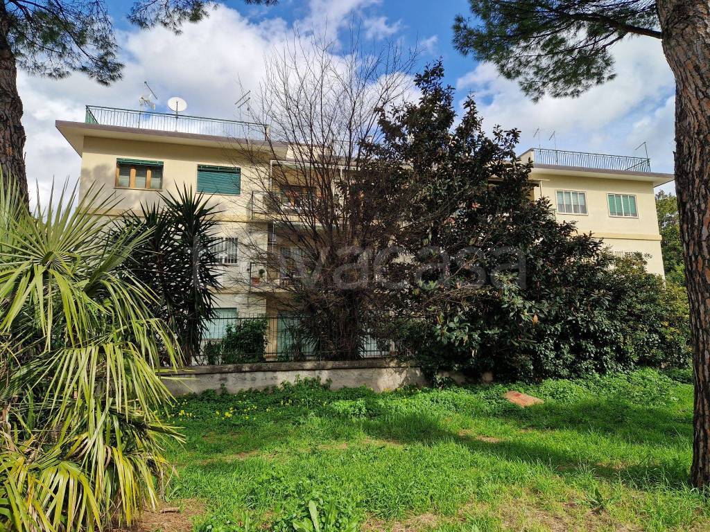 Appartamento in in vendita da privato a Caserta via Francesco Petrarca, 32