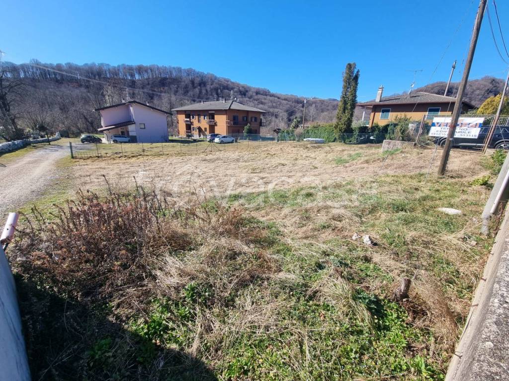 immagine annuncio 2 di 3