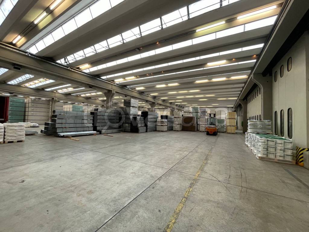 immagine annuncio 8 di 12