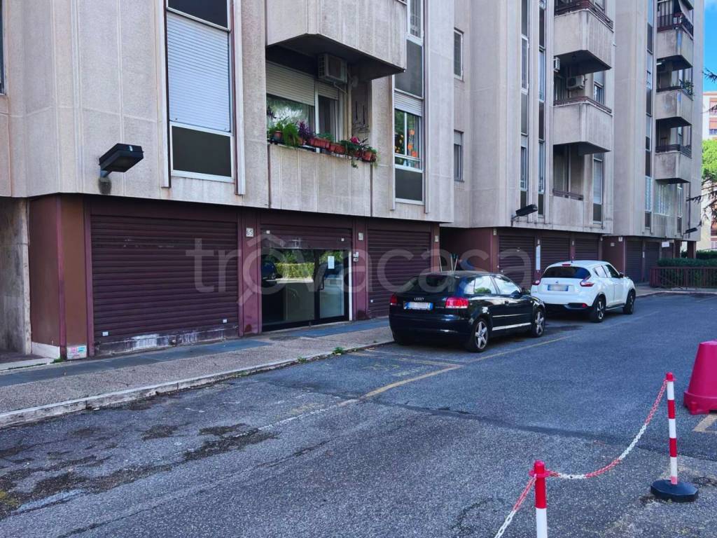 immagine annuncio 3 di 11