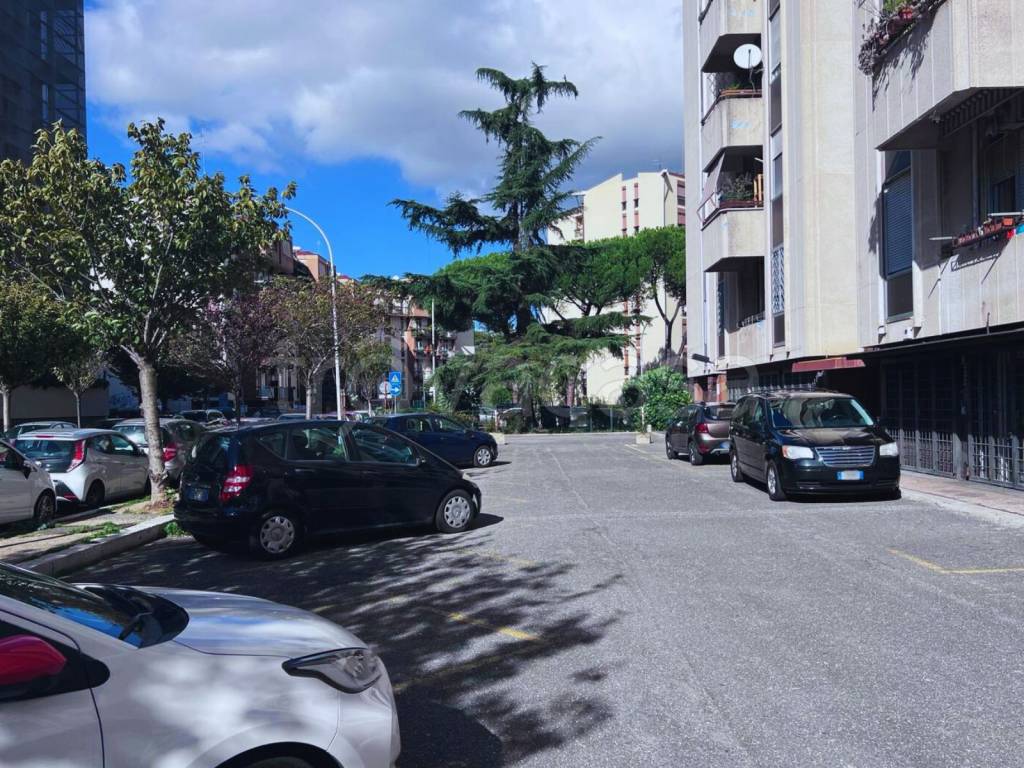 immagine annuncio 8 di 11