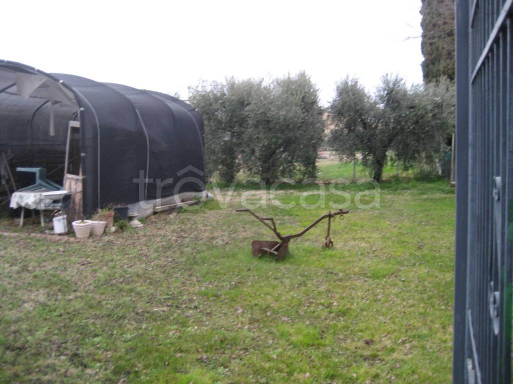 immagine annuncio 2 di 6
