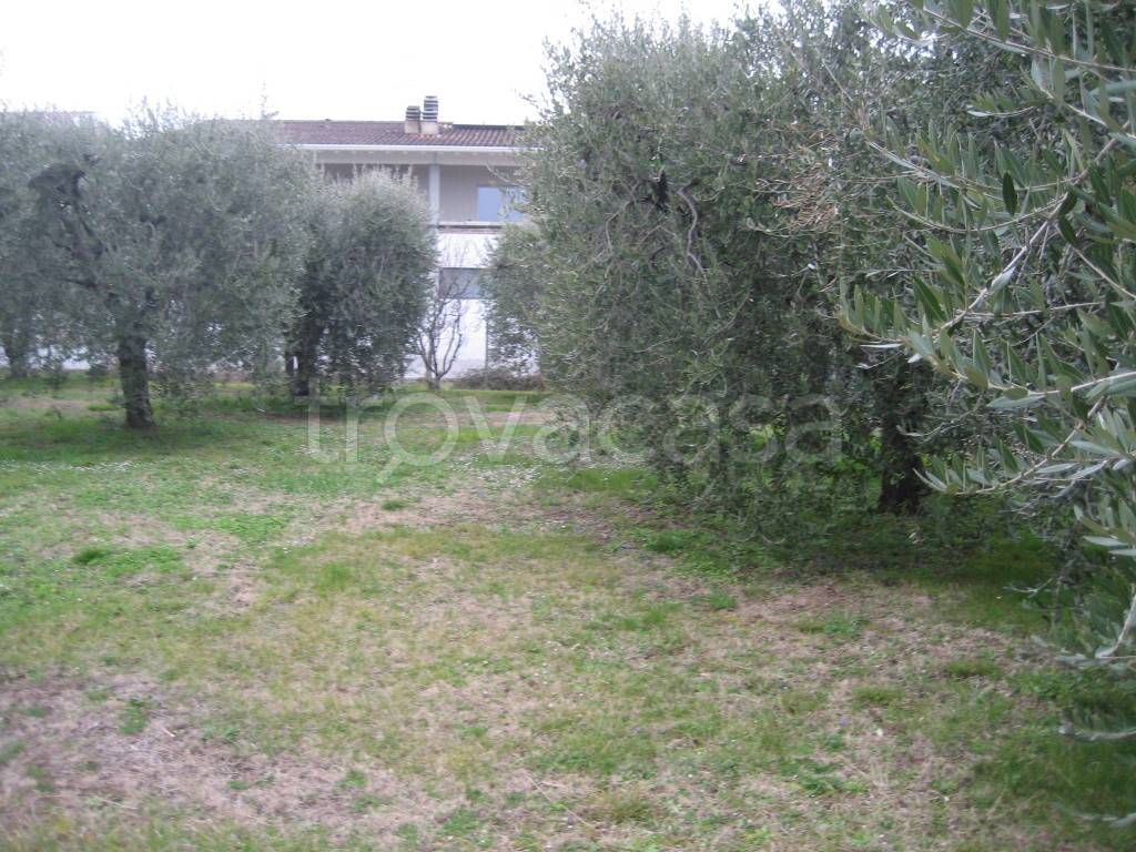 immagine annuncio 4 di 6