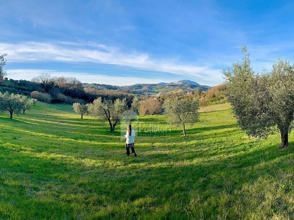 immagine annuncio 4 di 11