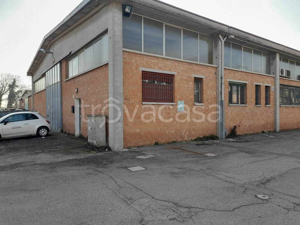 immagine annuncio 10 di 15