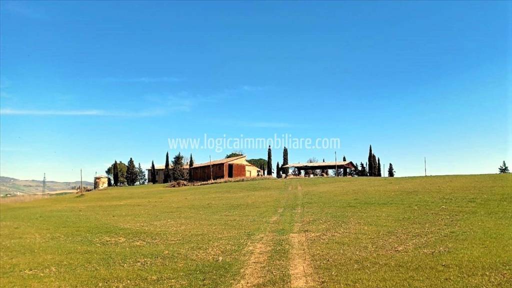 Azienda Agricola in vendita a Castiglione d'Orcia sp323