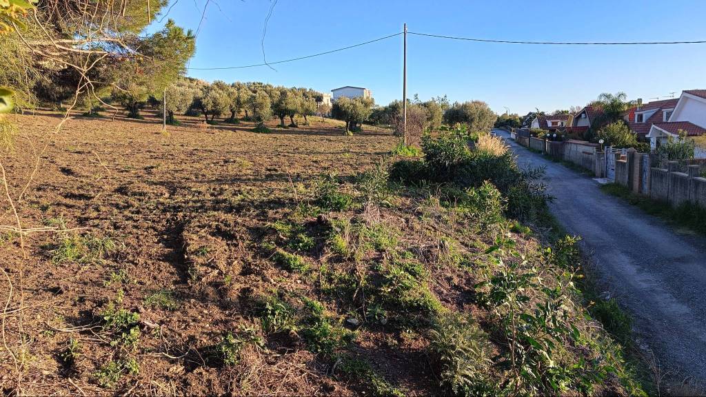 Terreno Residenziale in vendita a Gizzeria contrada Maiolino, 60