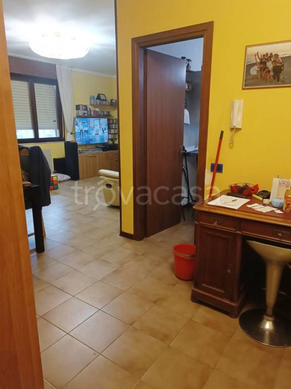 immagine annuncio 2 di 13