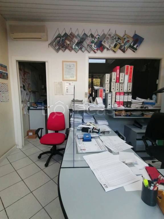 immagine annuncio 5 di 13