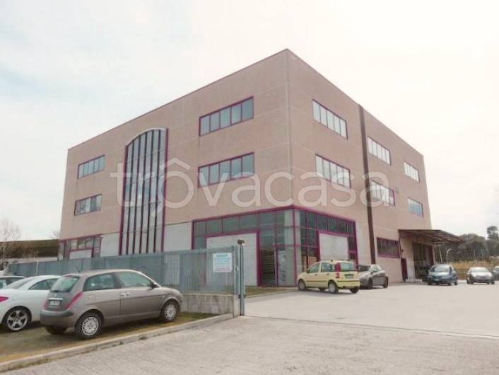 Ufficio in vendita ad Ascoli Piceno via della tintura 8
