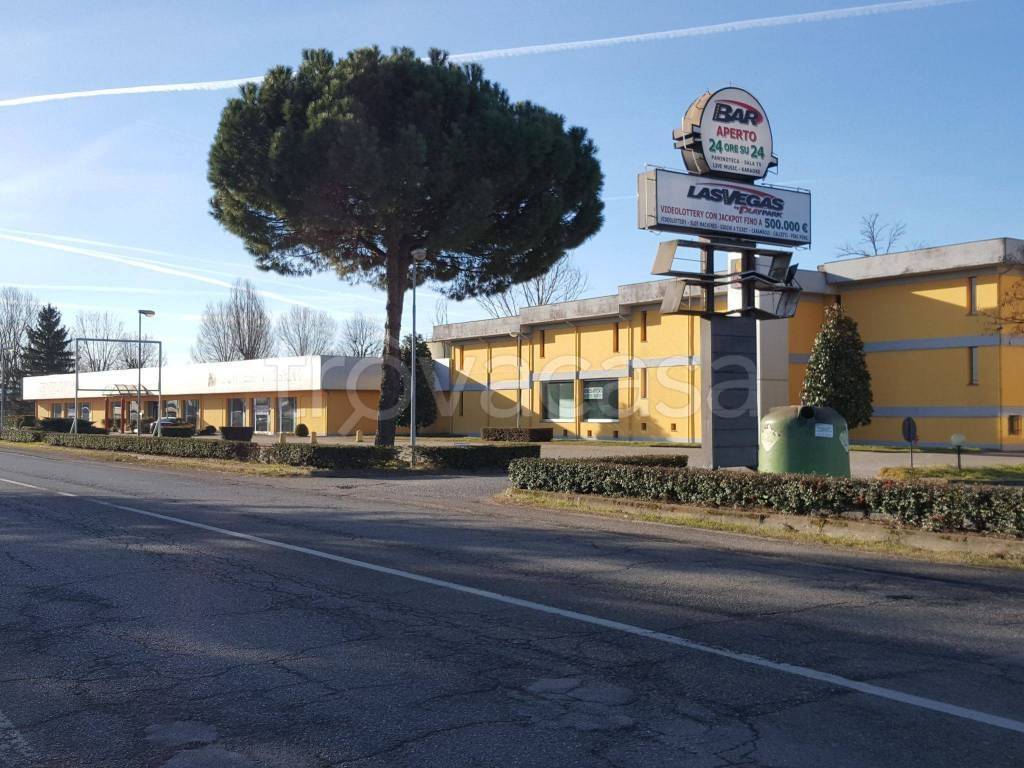 immagine annuncio 11 di 13