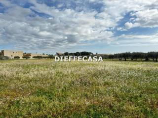 Terreno agricolo in vendita a marsala contrada cozzaro