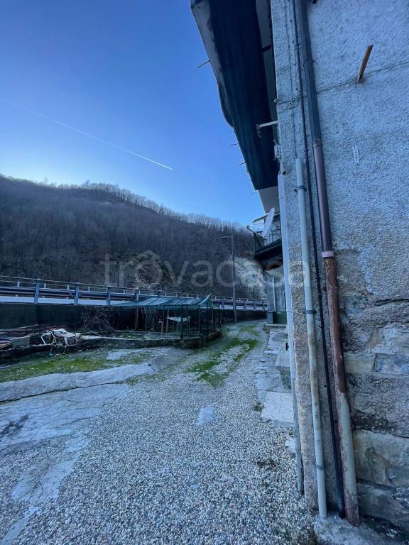 immagine annuncio 12 di 14