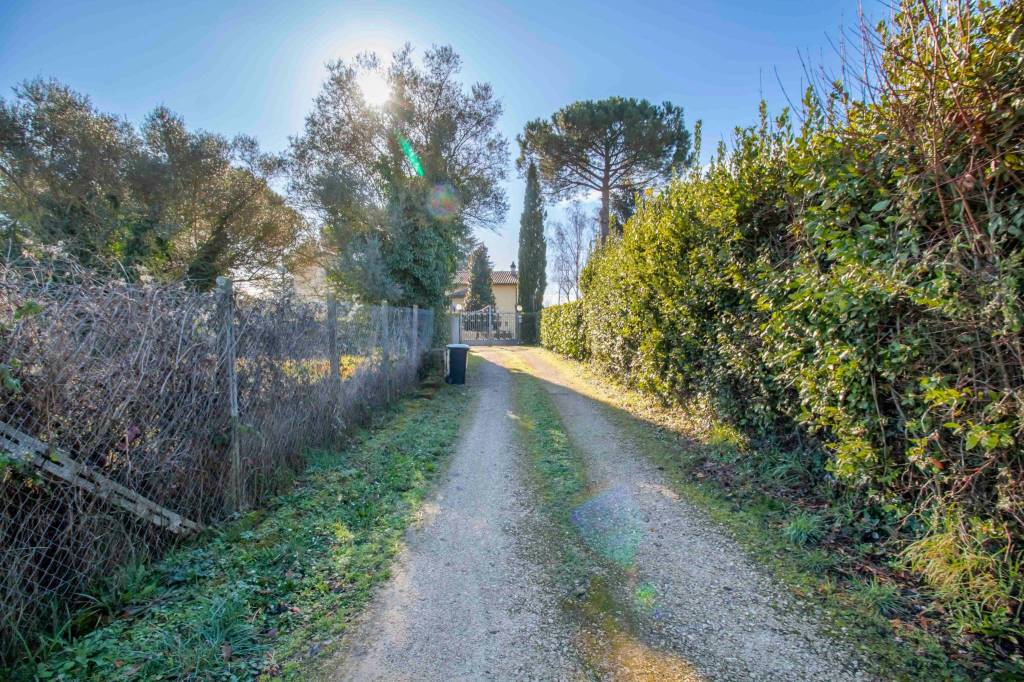 immagine annuncio 8 di 14
