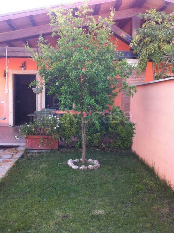 immagine annuncio 6 di 11