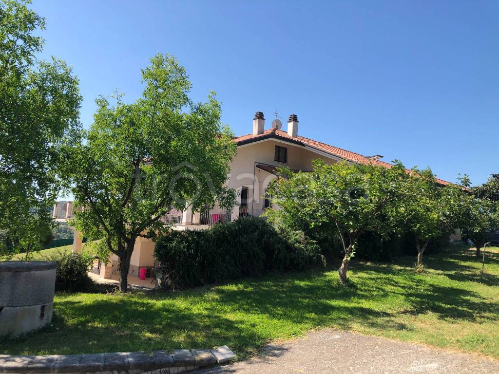 immagine annuncio 3 di 11
