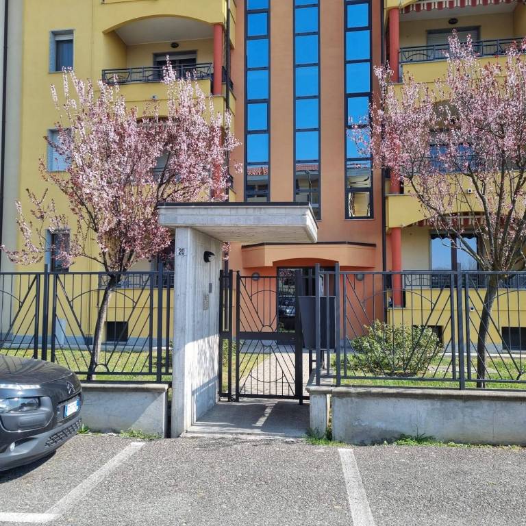 immagine annuncio 9 di 15
